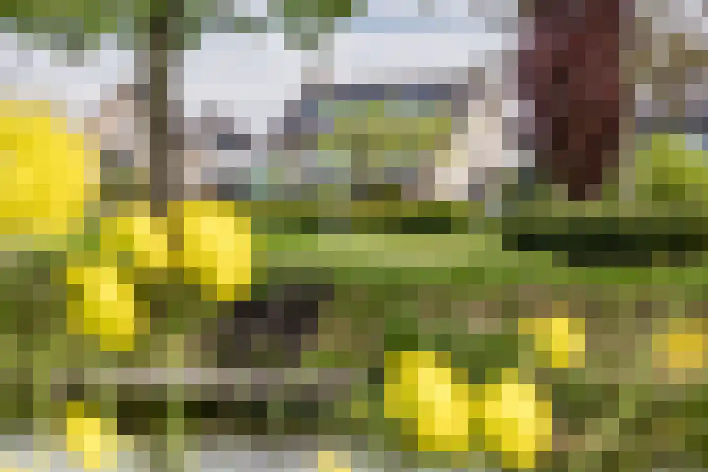 Vleugelvaren 5 Bergschenhoek thumbnail 58