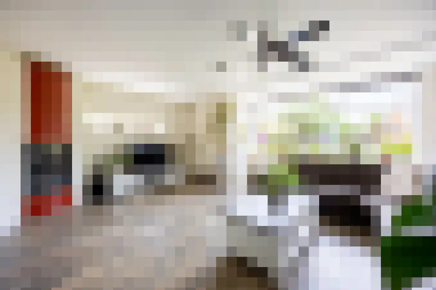 Vleugelvaren 5 Bergschenhoek thumbnail 8