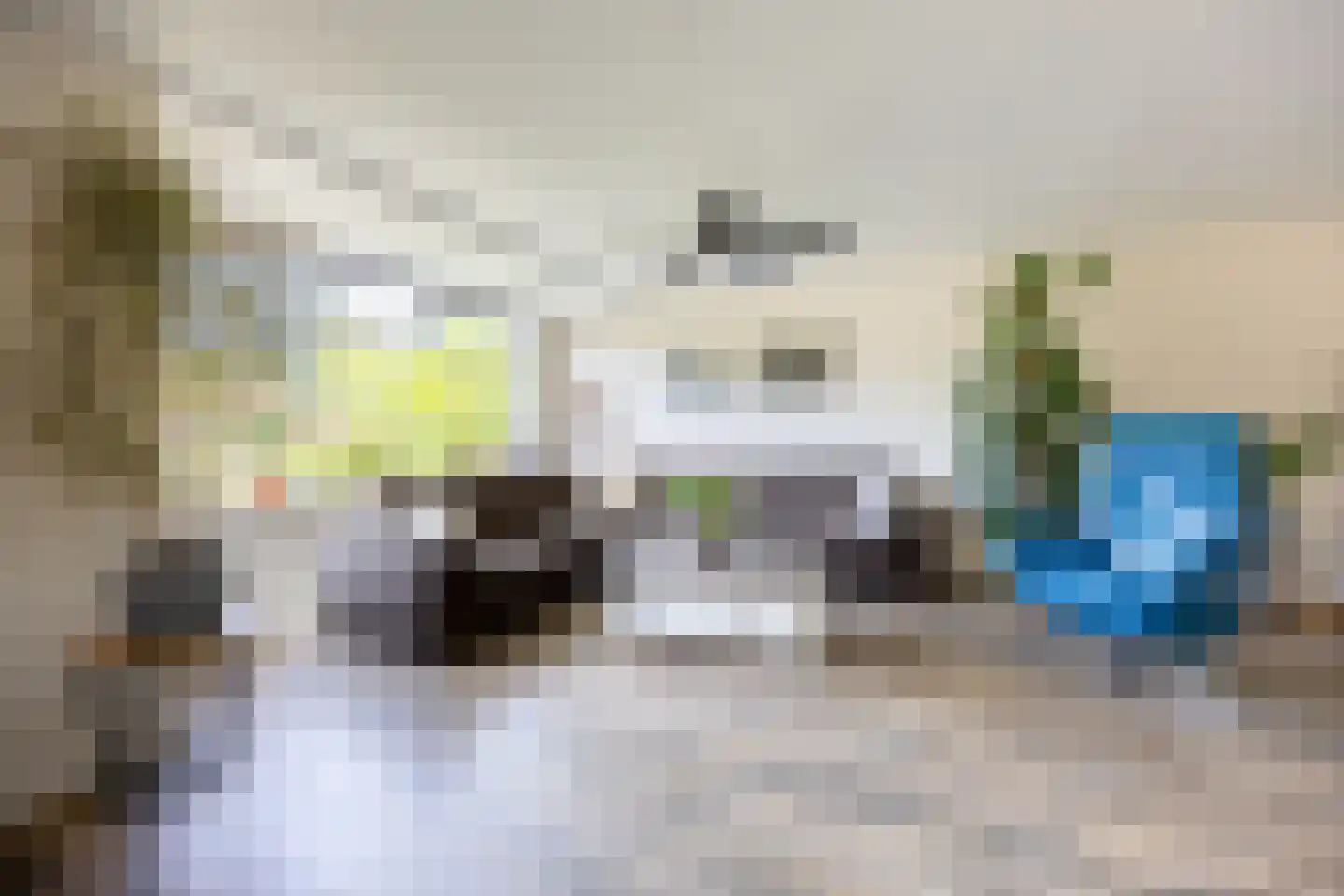 Vleugelvaren 5 Bergschenhoek thumbnail 9