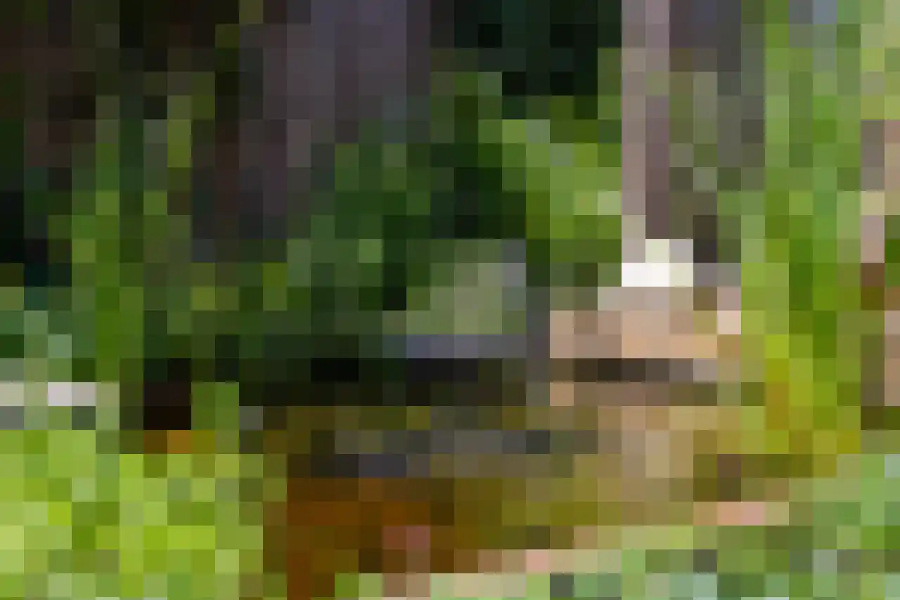 Vleumingen 19 Gendt thumbnail 18