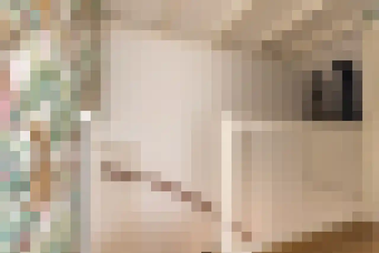 Vleumingen 19 Gendt thumbnail 30