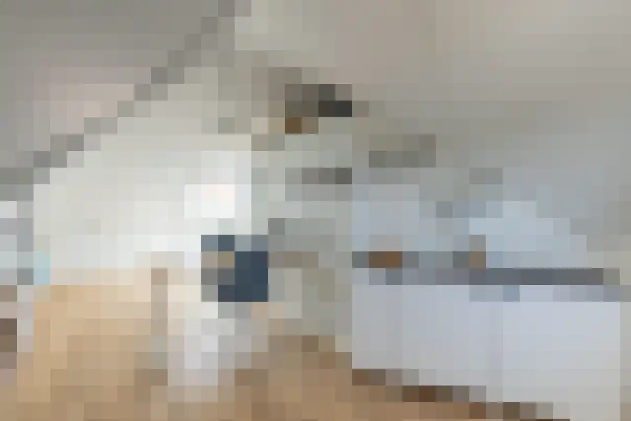 Vleumingen 19 Gendt thumbnail 31
