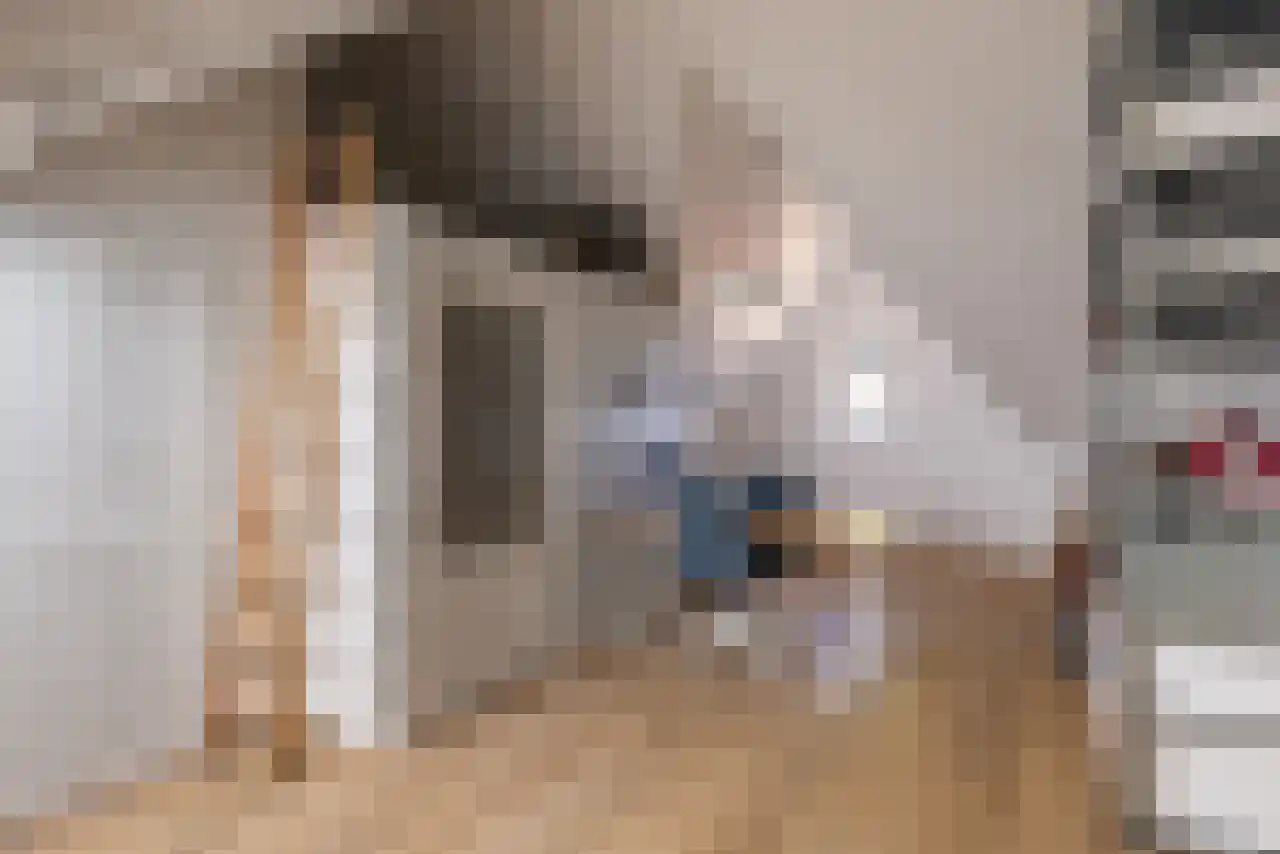 Vleumingen 19 Gendt thumbnail 32
