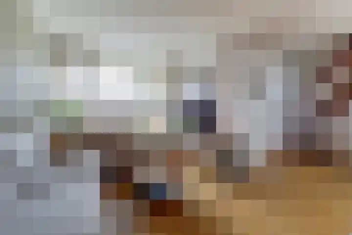Vleumingen 8 Gendt thumbnail 10