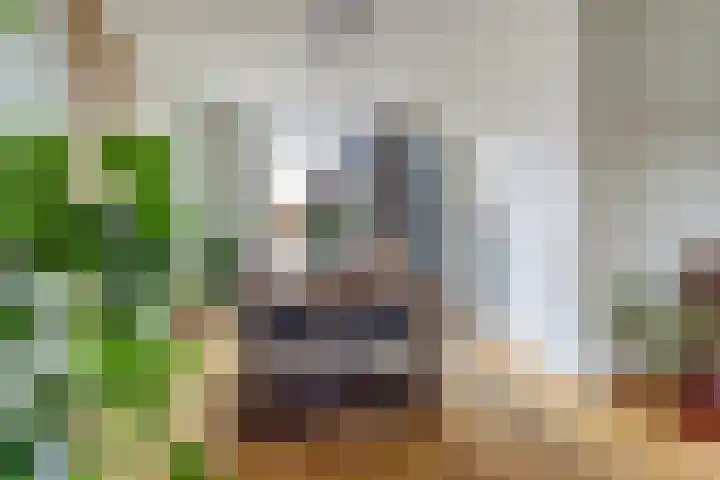 Vleumingen 8 Gendt thumbnail 14