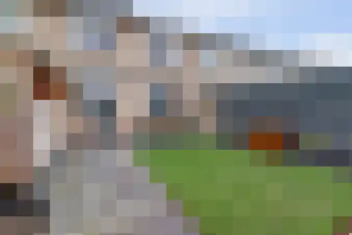 Vleumingen 8 Gendt thumbnail 22