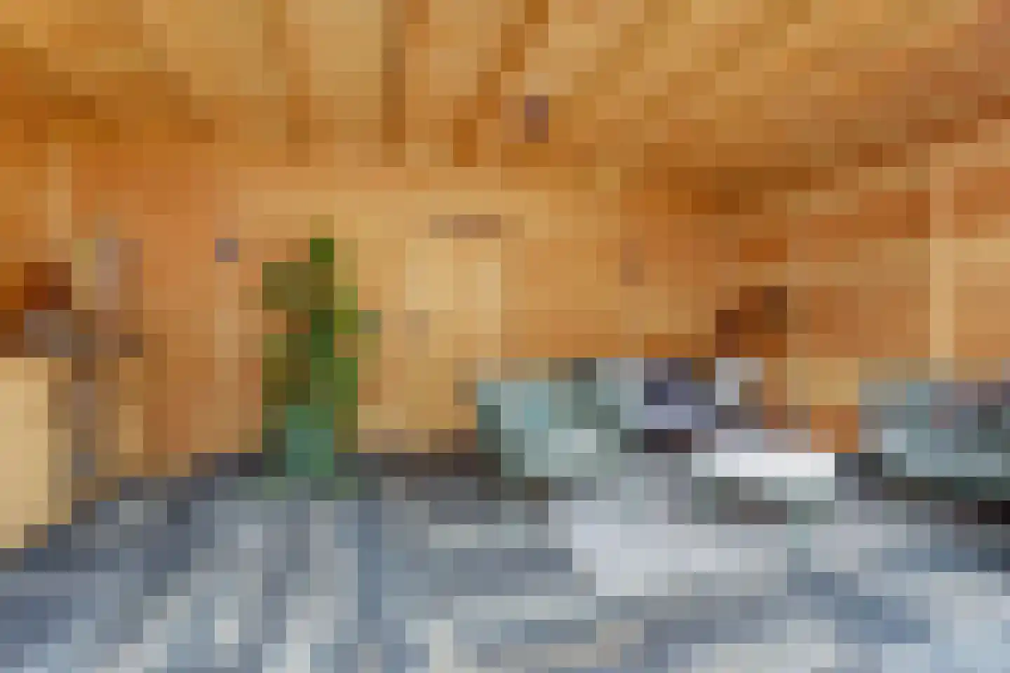 Vleumingen 8 Gendt thumbnail 25
