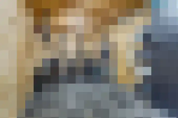 Vleumingen 8 Gendt thumbnail 27