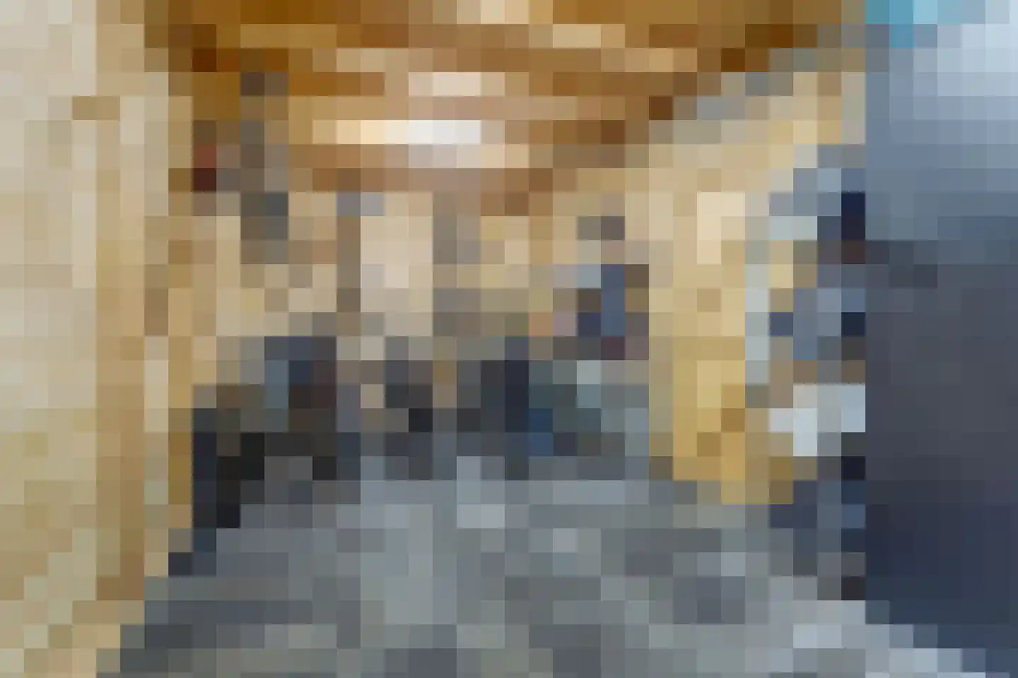 Vleumingen 8 Gendt thumbnail 27