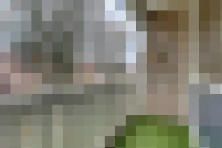 Vleumingen 8 Gendt thumbnail 32