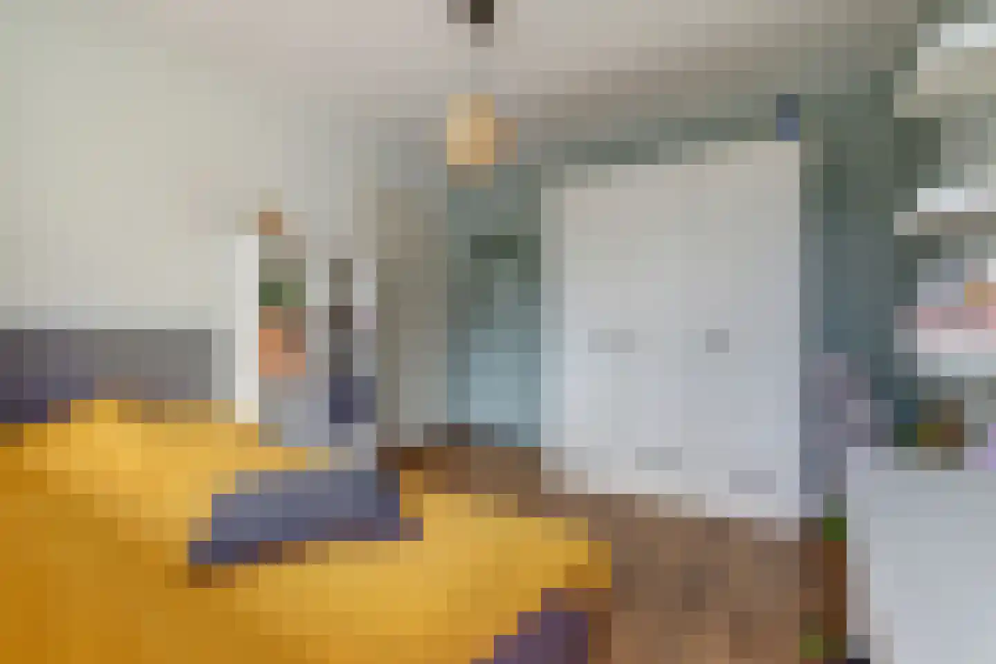 Vleumingen 8 Gendt thumbnail 34