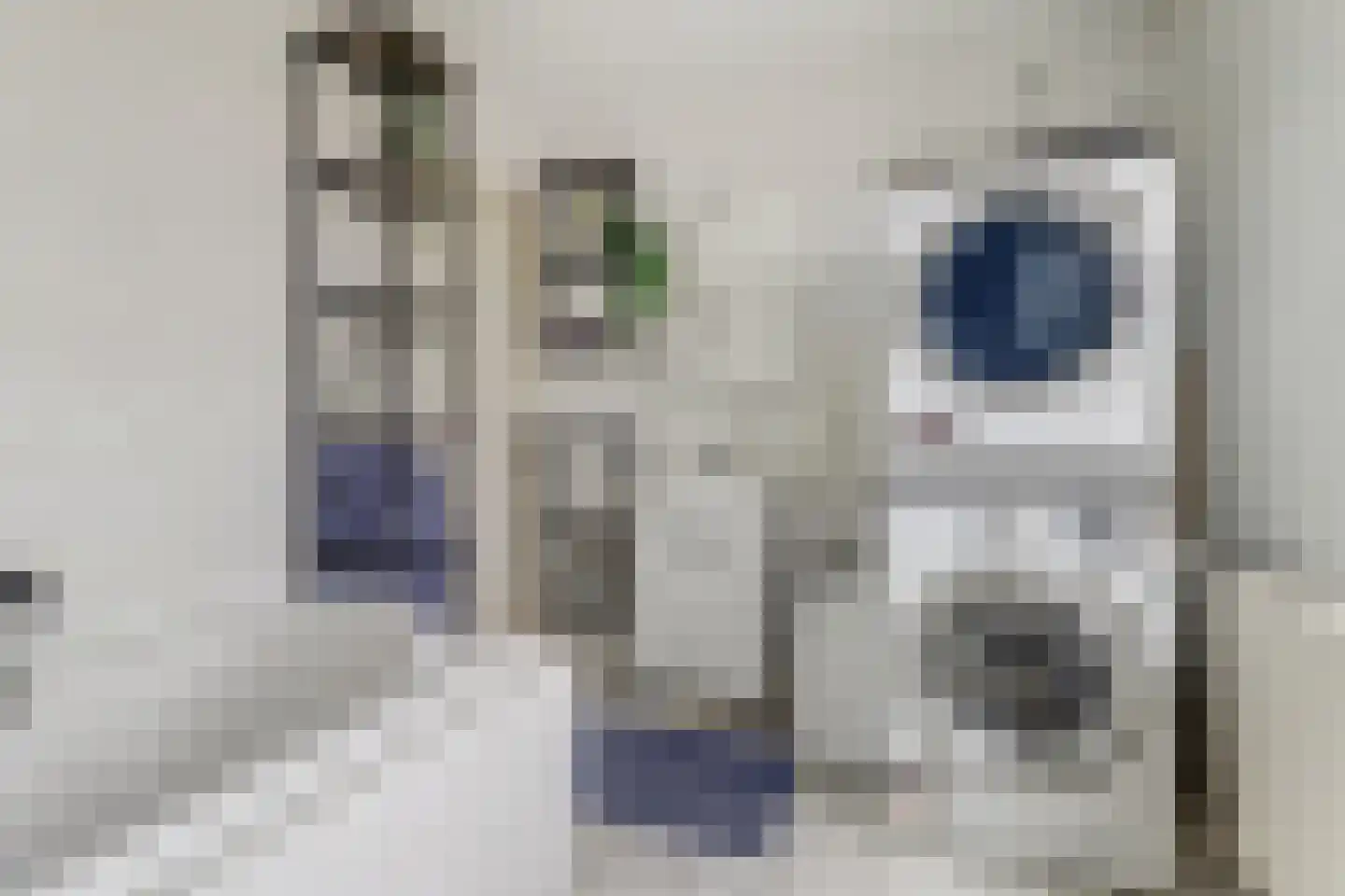 Vleumingen 8 Gendt thumbnail 36