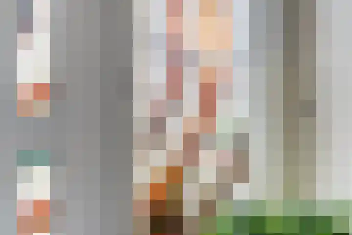 Vleumingen 8 Gendt thumbnail 4