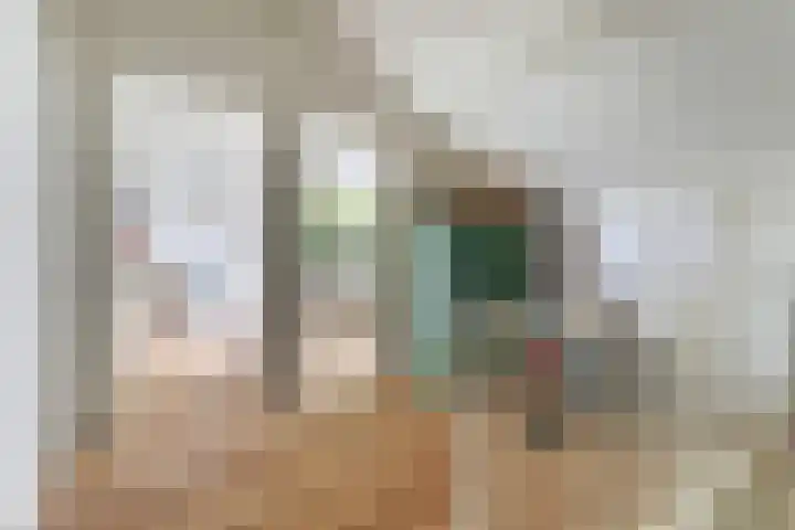 Vleumingen 8 Gendt thumbnail 42