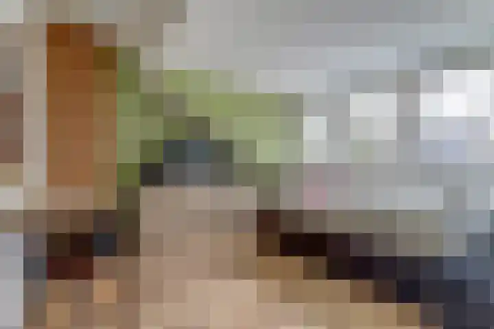 Vleumingen 8 Gendt thumbnail 43