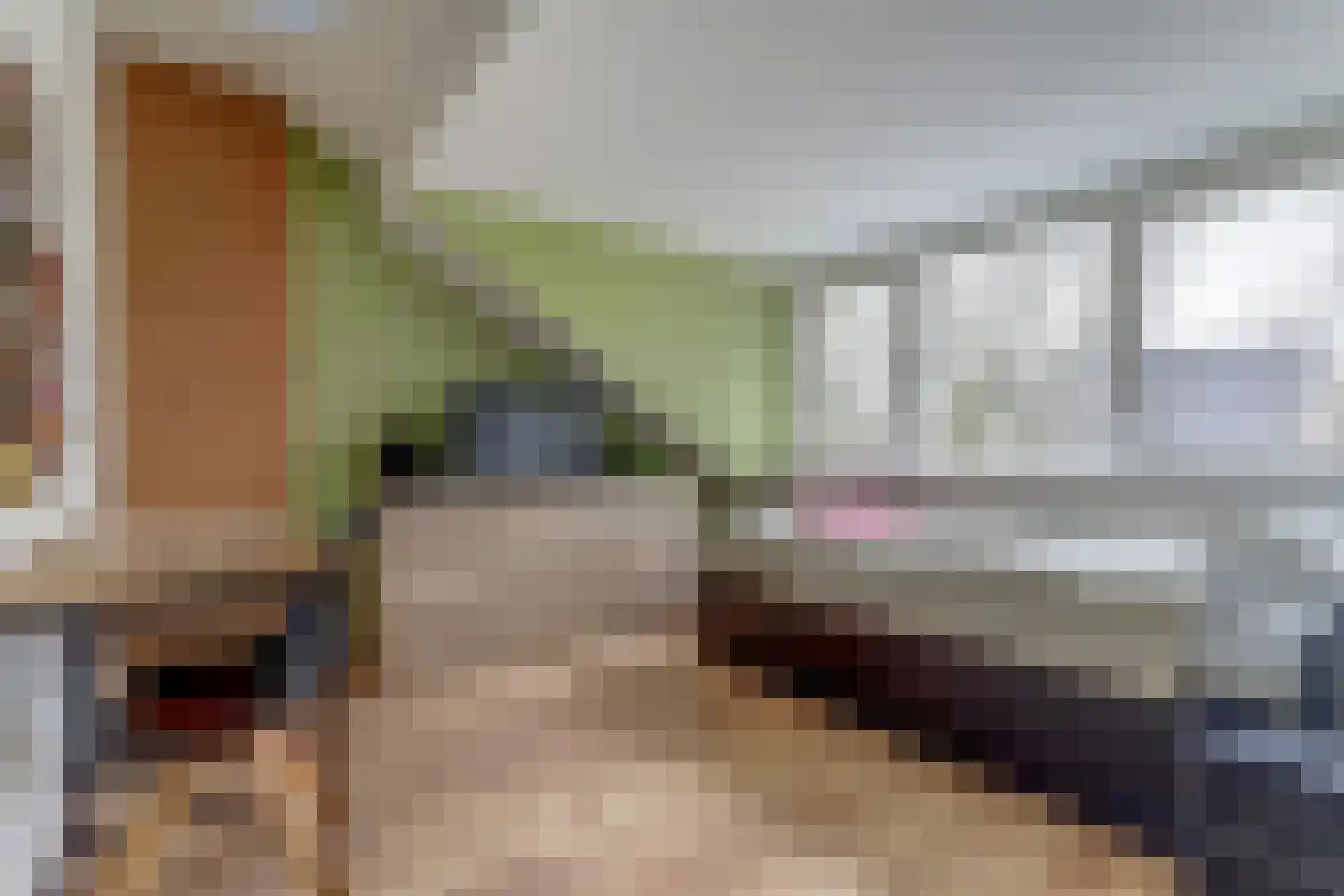 Vleumingen 8 Gendt thumbnail 43
