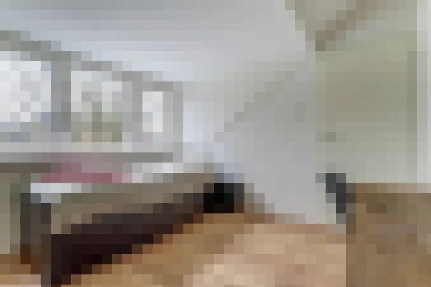 Vleumingen 8 Gendt thumbnail 44