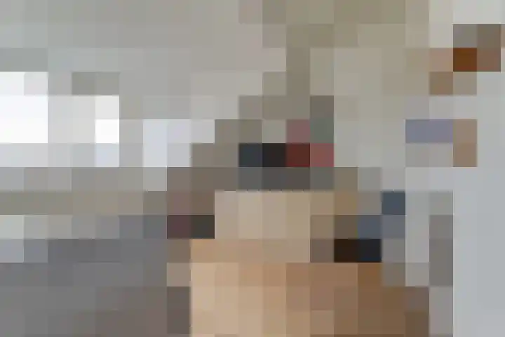 Vleumingen 8 Gendt thumbnail 46