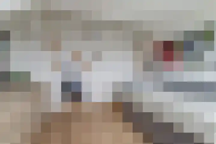 Vleumingen 8 Gendt thumbnail 47