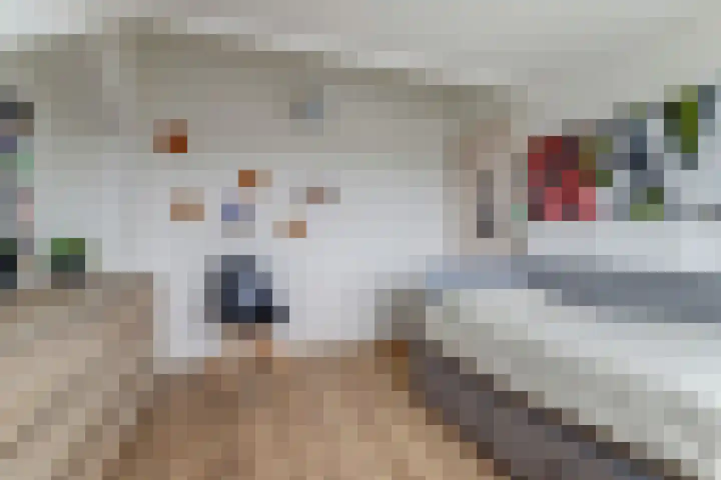 Vleumingen 8 Gendt thumbnail 47