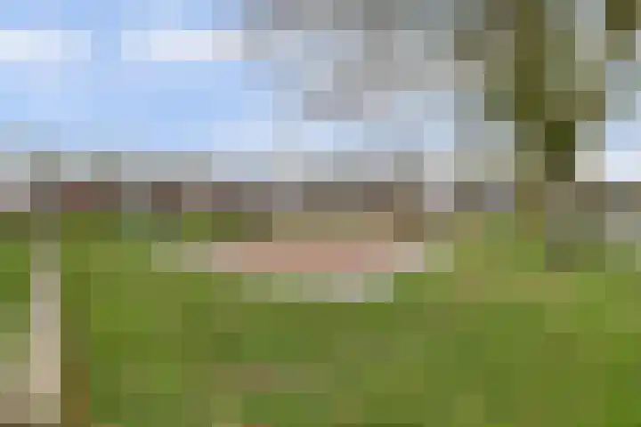 Vleumingen 8 Gendt thumbnail 52