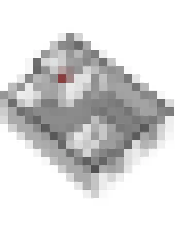 Vleumingen 8 Gendt thumbnail 55