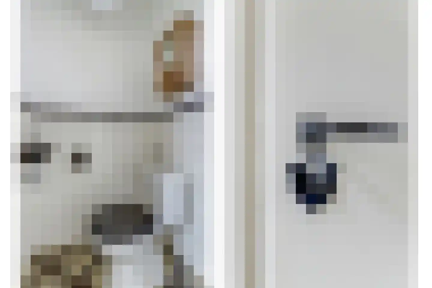 Vleumingen 8 Gendt thumbnail 6