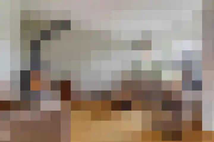 Vleumingen 8 Gendt thumbnail 7