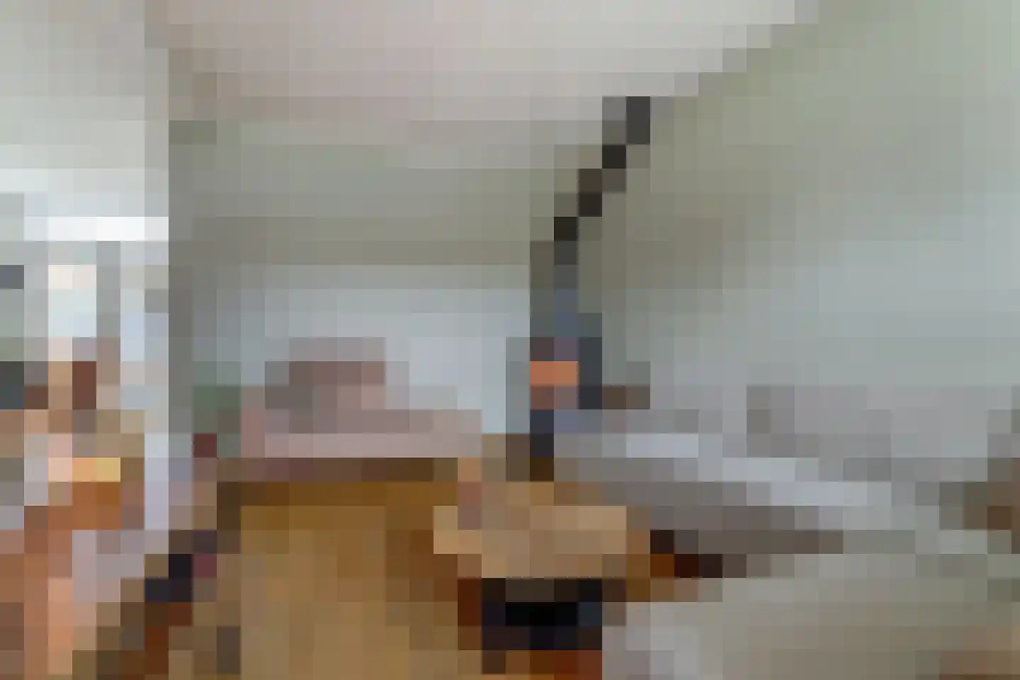 Vleumingen 8 Gendt thumbnail 9