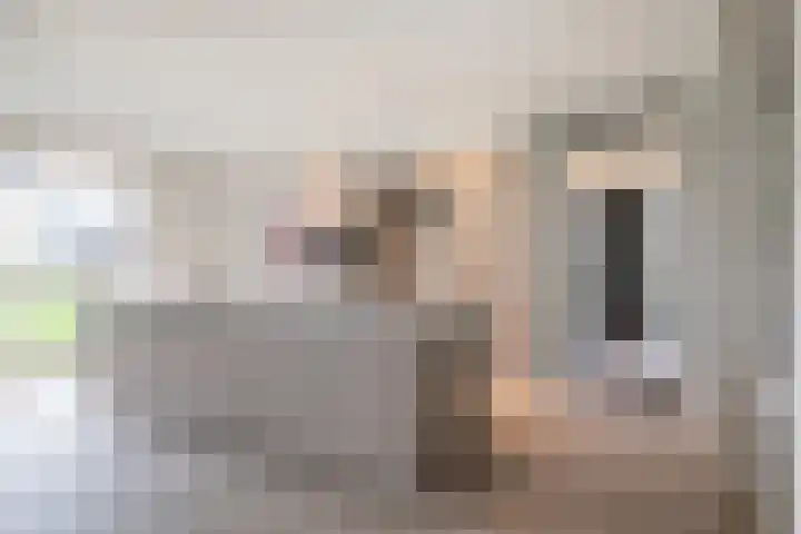 Vleutendonk 12 Helmond thumbnail 19