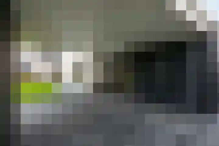 Vleutendonk 12 Helmond thumbnail 39