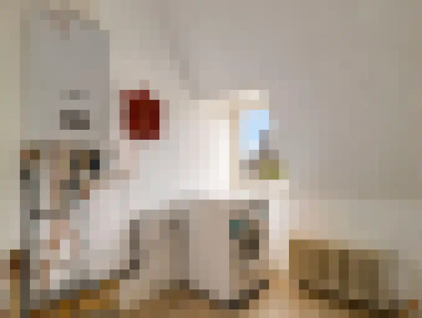 Vleutenseweg 103 Utrecht thumbnail 37