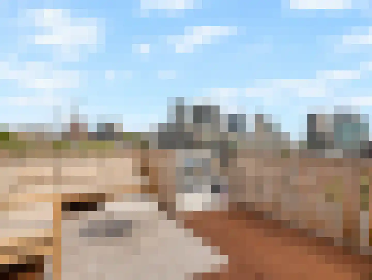 Vleutenseweg 103 Utrecht thumbnail 38