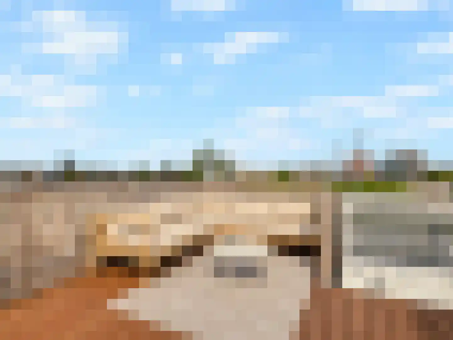 Vleutenseweg 103 Utrecht thumbnail 39