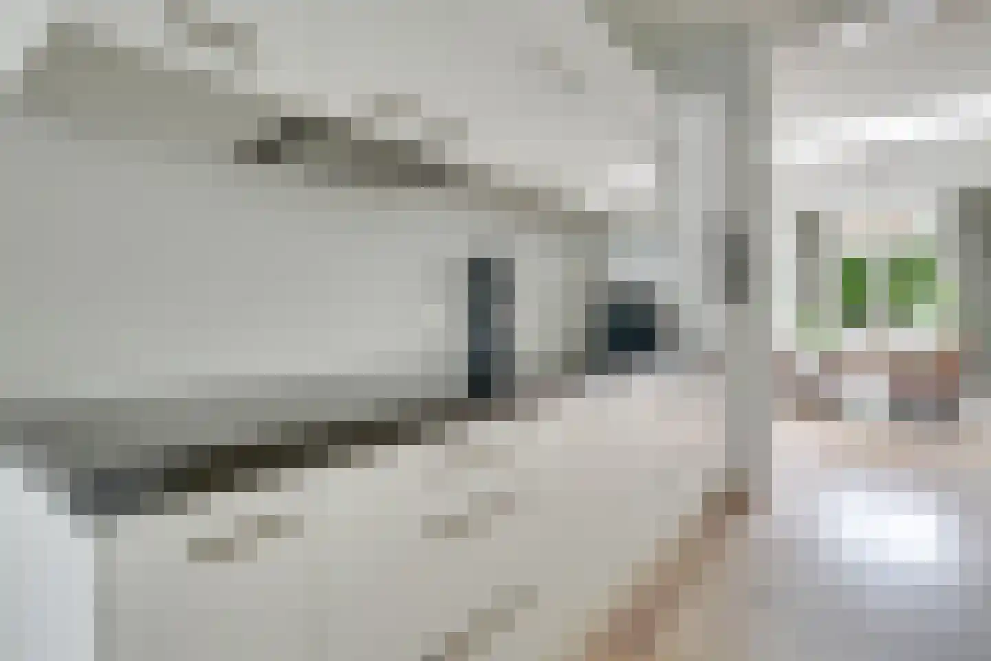 Vleutenseweg 133 Utrecht thumbnail 12