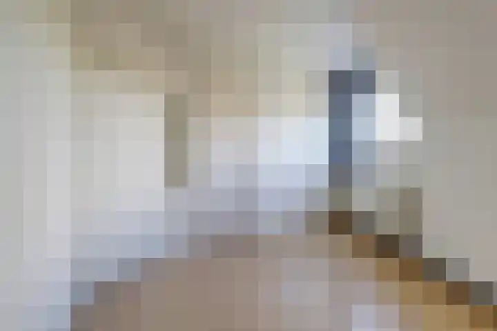 Vleutenseweg 134 Utrecht thumbnail 22