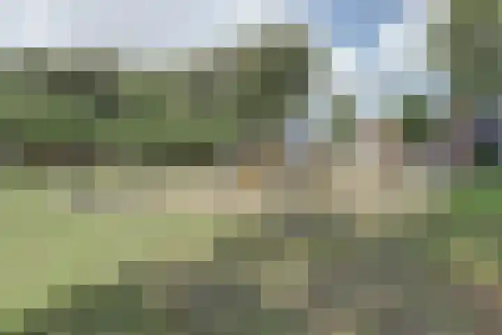 Vleutenseweg 134 Utrecht thumbnail 33