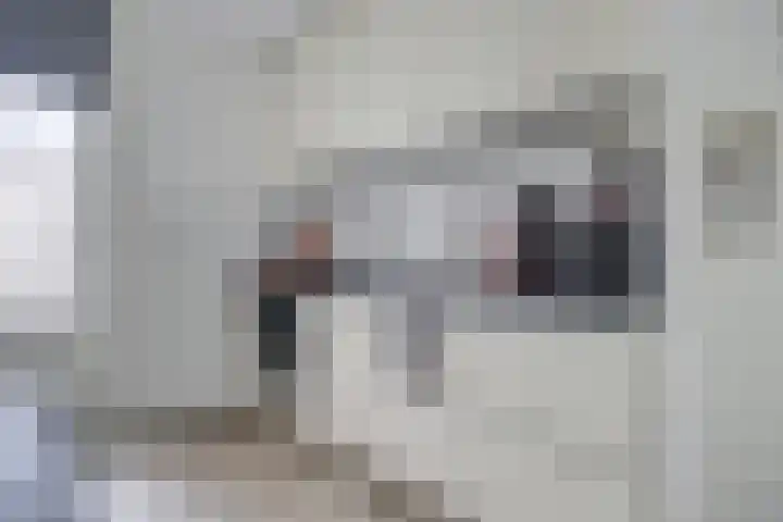 Vleutenseweg 134 Utrecht thumbnail 4