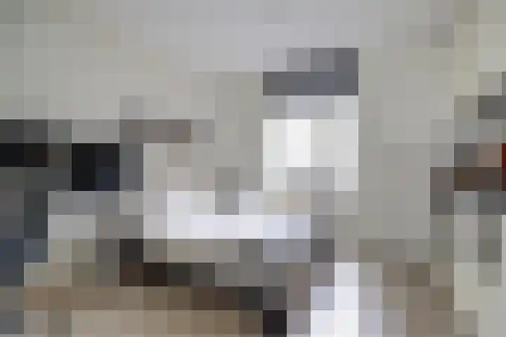 Vleutenseweg 134 Utrecht thumbnail 5