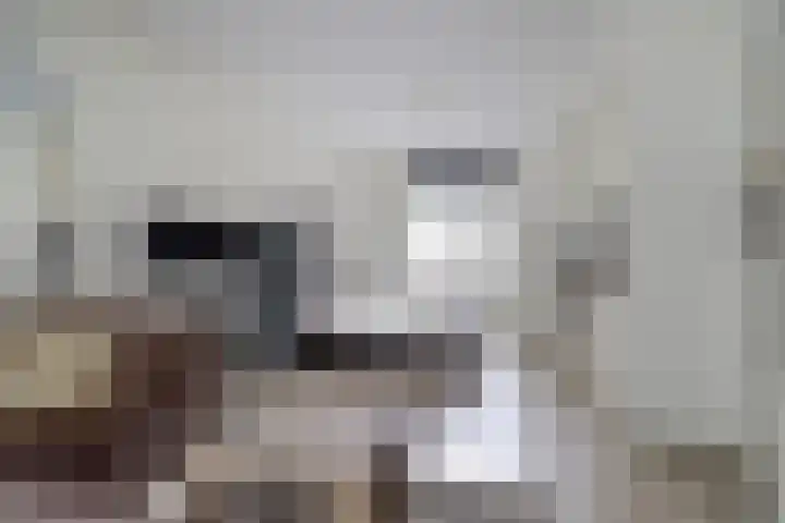 Vleutenseweg 134 Utrecht thumbnail 6