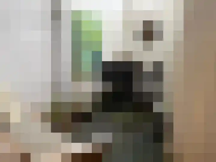 Vleutenseweg 134 Utrecht thumbnail 7