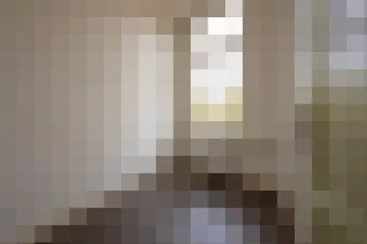 Vleutenseweg 148 Utrecht thumbnail 10