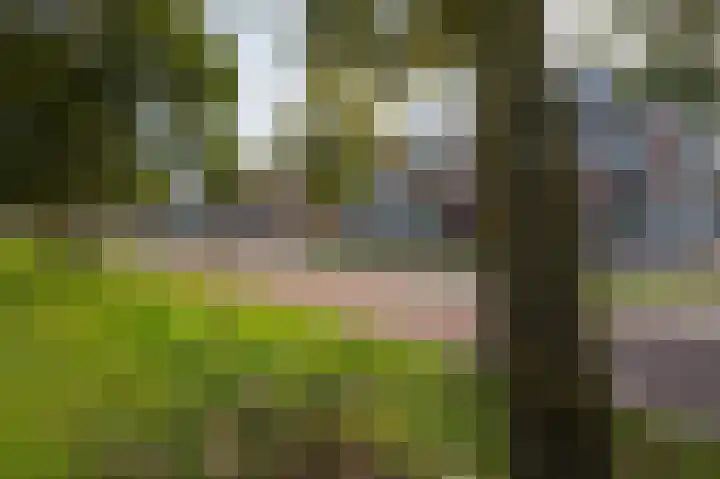 Vleutenseweg 148 Utrecht thumbnail 21