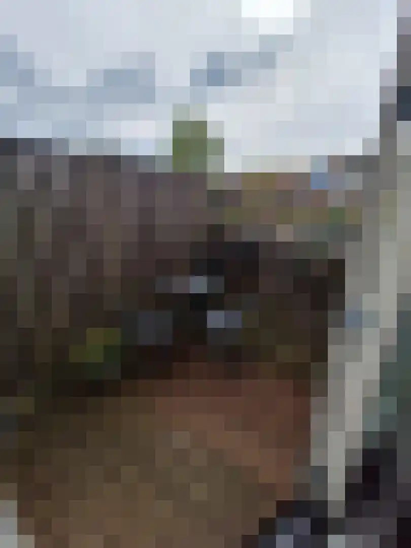 Vleutenseweg 158 A Utrecht thumbnail 30