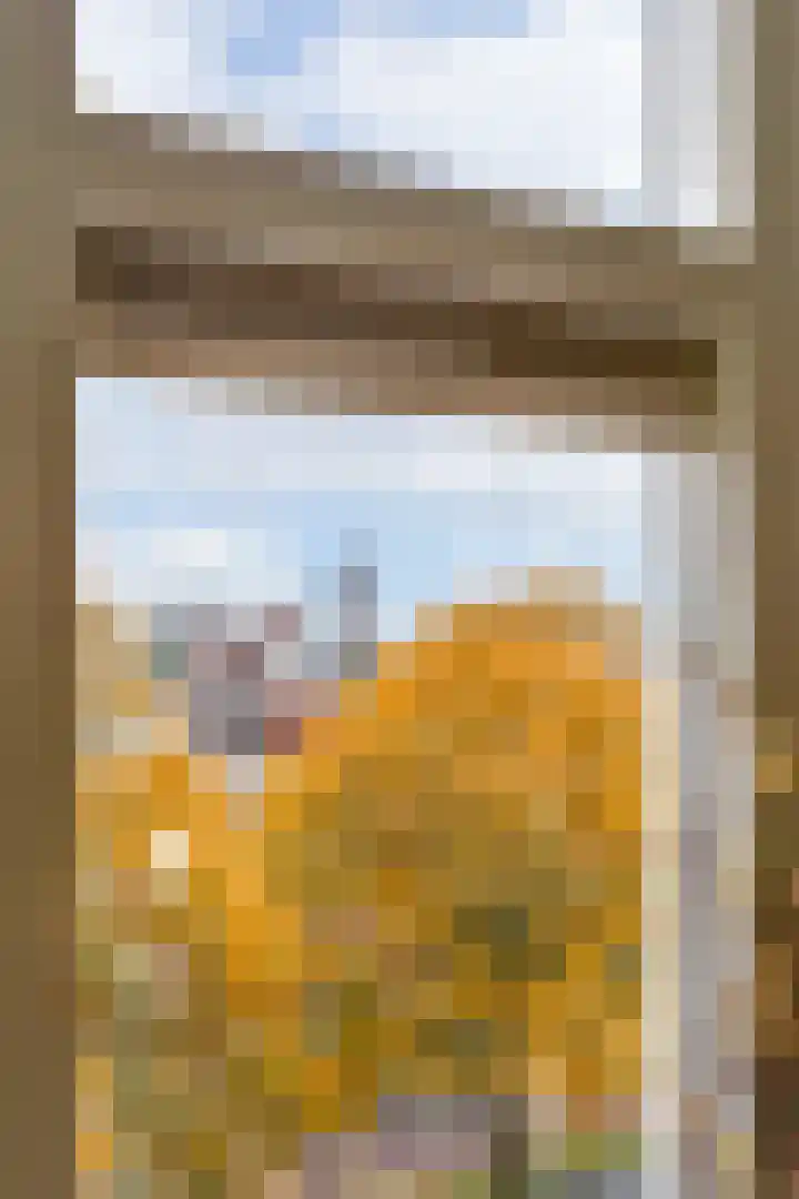 Vleutenseweg 177 Utrecht thumbnail 17