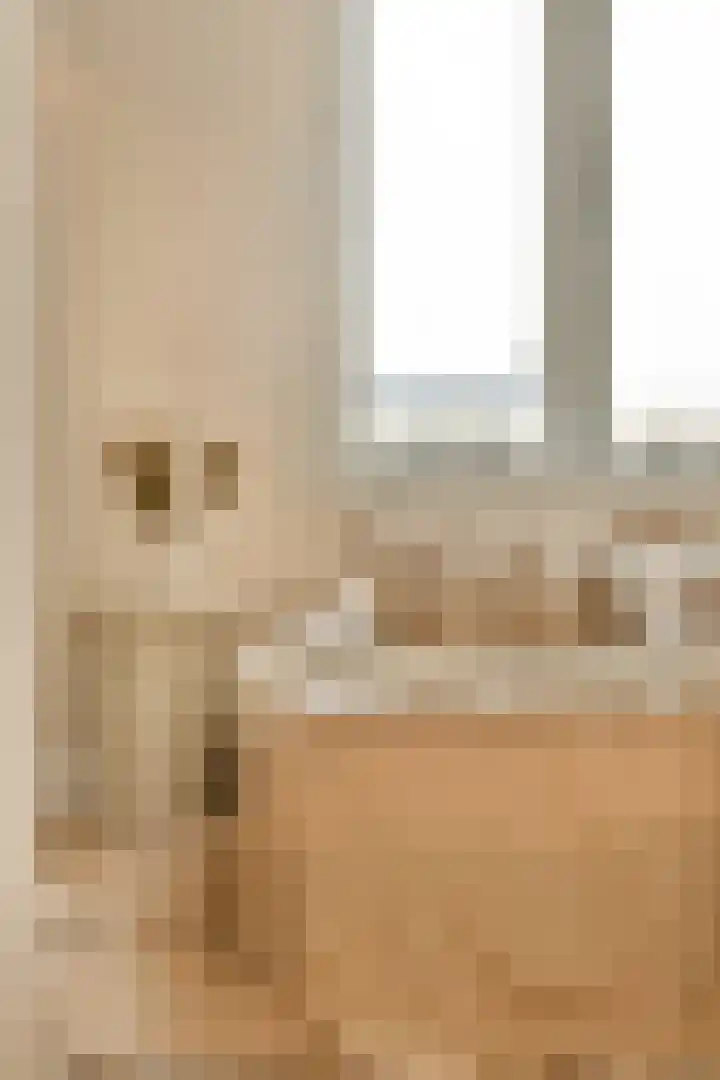 Vleutenseweg 177 Utrecht thumbnail 34