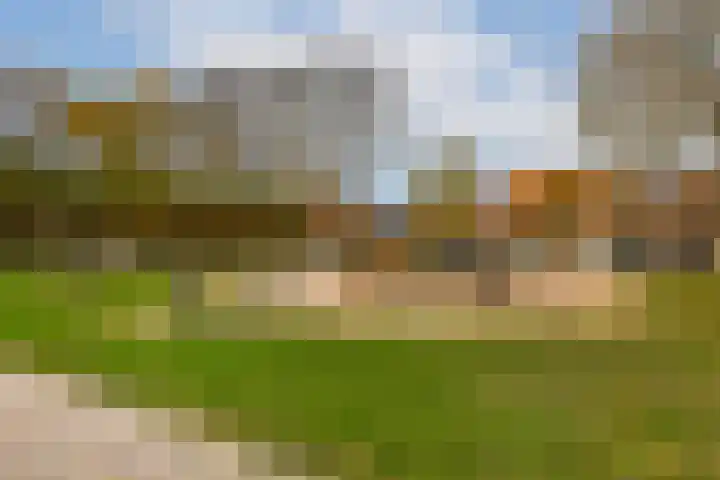 Vleutenseweg 177 Utrecht thumbnail 40