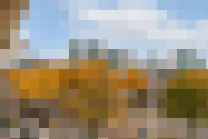 Vleutenseweg 177 Utrecht thumbnail 41