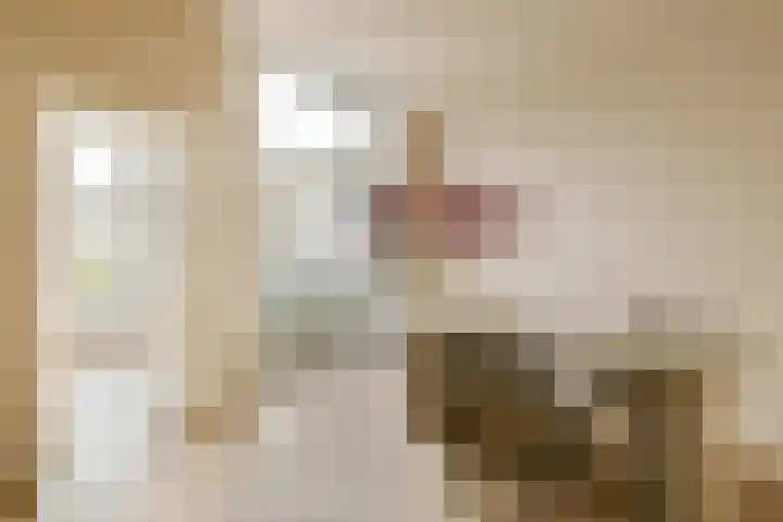 Vleutenseweg 177 Utrecht thumbnail 9