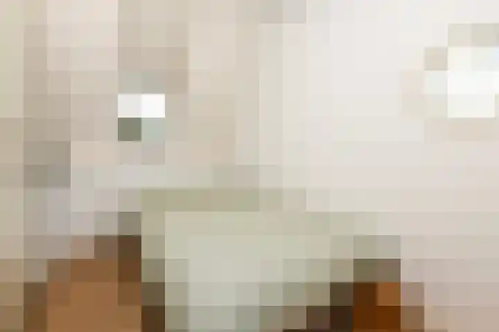 Vleutenseweg 185 A Utrecht thumbnail 15